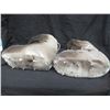 Image 2 : BOTTE EN LOUP MARIN  “SOREL INTERIEUR” GR 8.5
