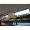 Image 2 : LOT DE COUSSINS ASSORTIS