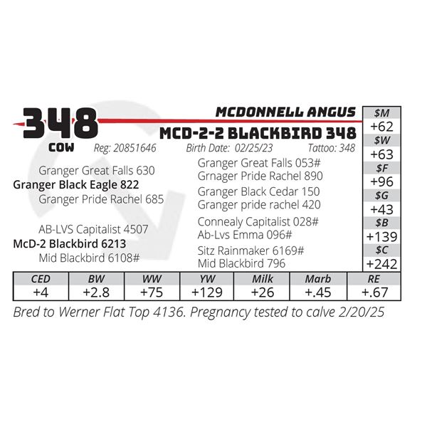 McD-2-2 Blackbird 348