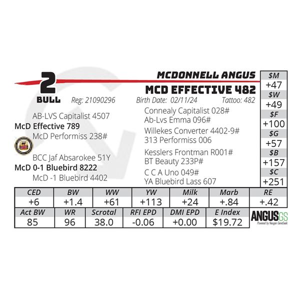 MCD EFFECTIVE 482
