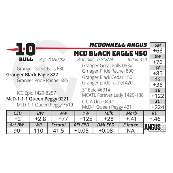 MCD BLACK EAGLE 450