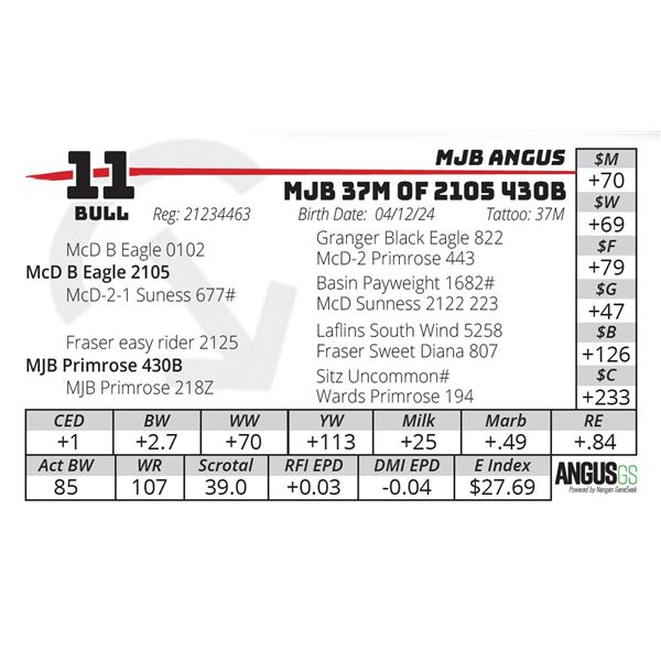 MJB 37M OF 2105 430B