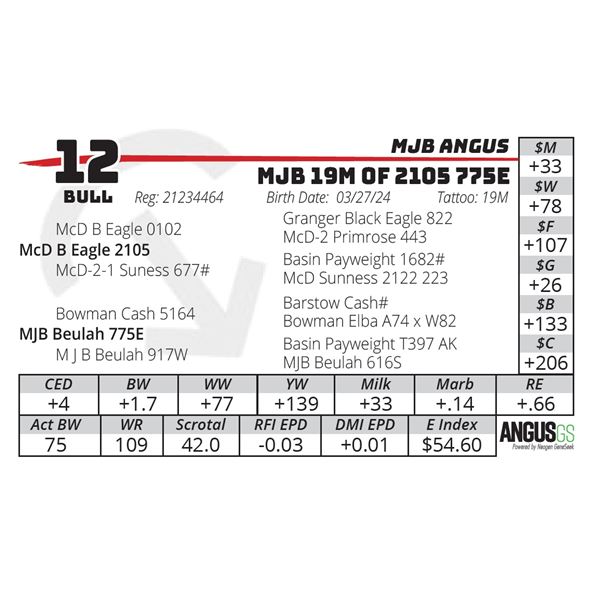 MJB 19M OF 2105 775E