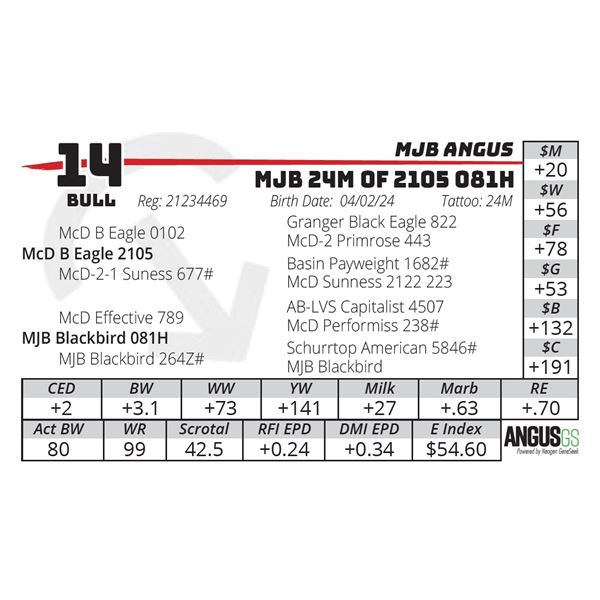 MJB 24M OF 2105 081H