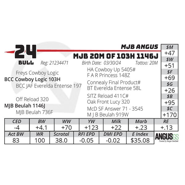 MJB 20M OF 103H 1146J