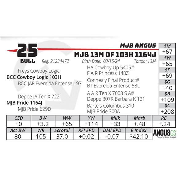 MJB 13M OF 103H 1164J