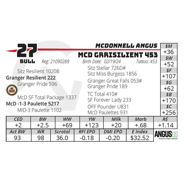 MCD GRRISILIENT 453