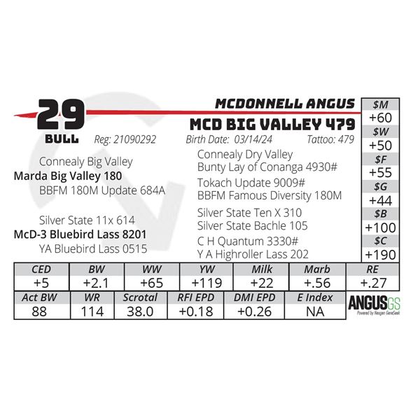 MCD BIG VALLEY 479