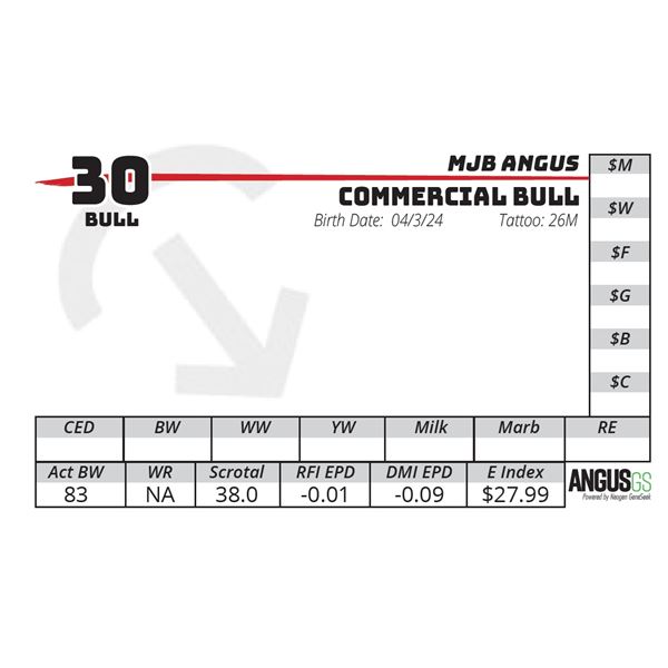 COMMERCIAL BULL