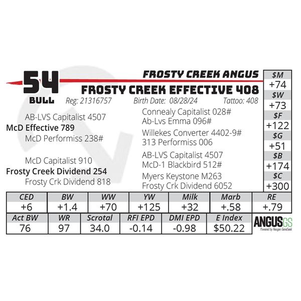 FROSTY CREEK EFFECTIVE 408