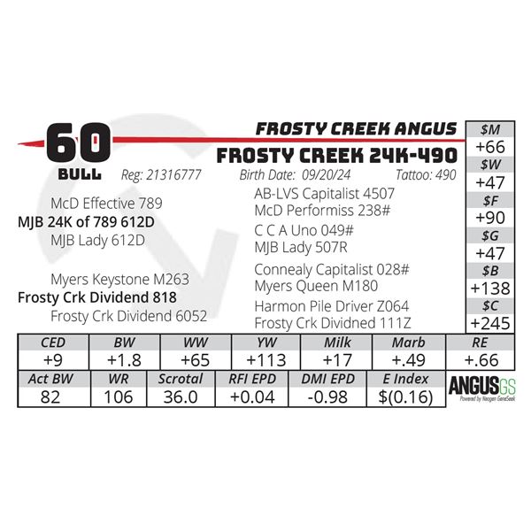 FROSTY CREEK 24K-490