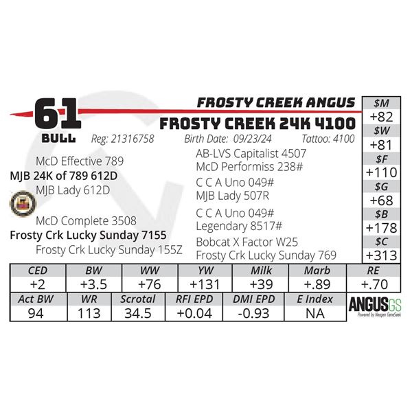 FROSTY CREEK 24K 4100