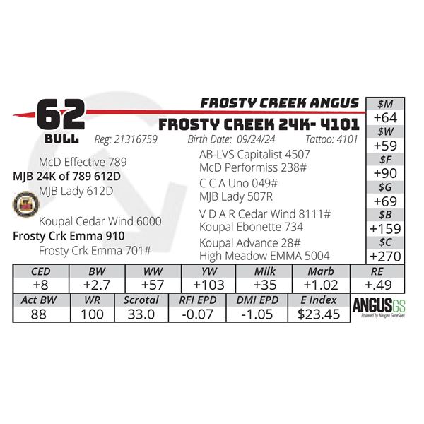 FROSTY CREEK 24K- 4101