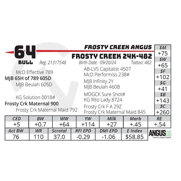 FROSTY CREEK 24K-482