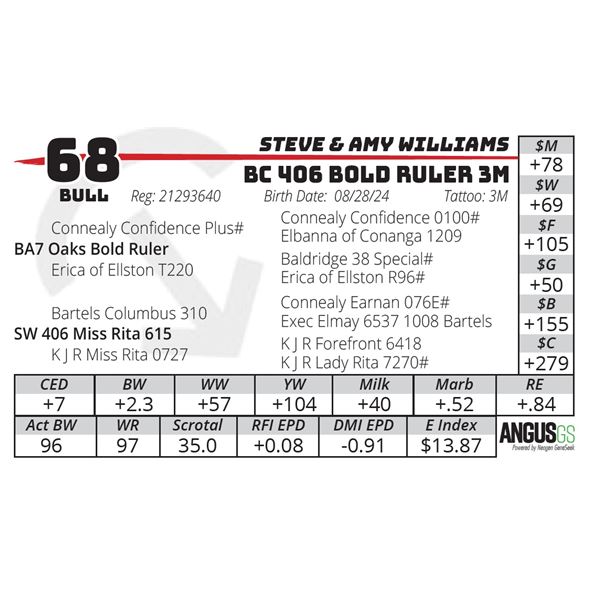 BC 406 BOLD RULER 3M