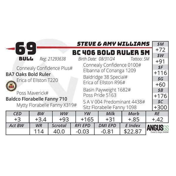 BC 406 BOLD RULER 5M