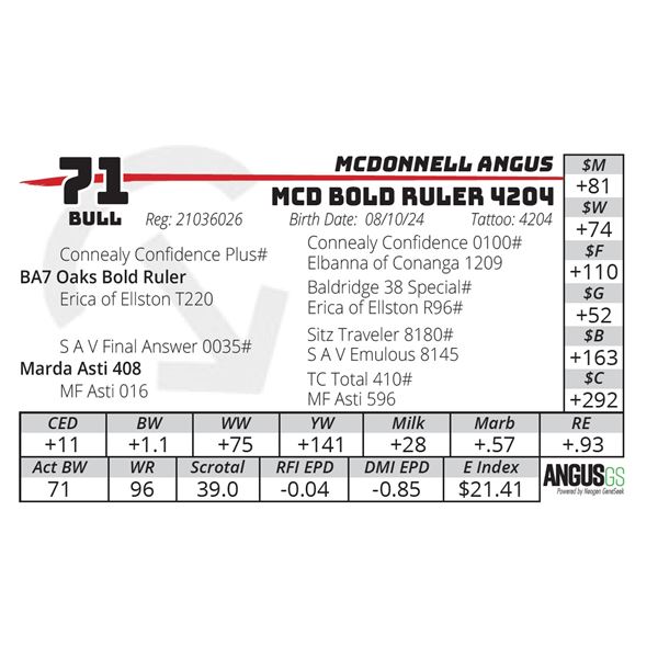 MCD BOLD RULER 4204