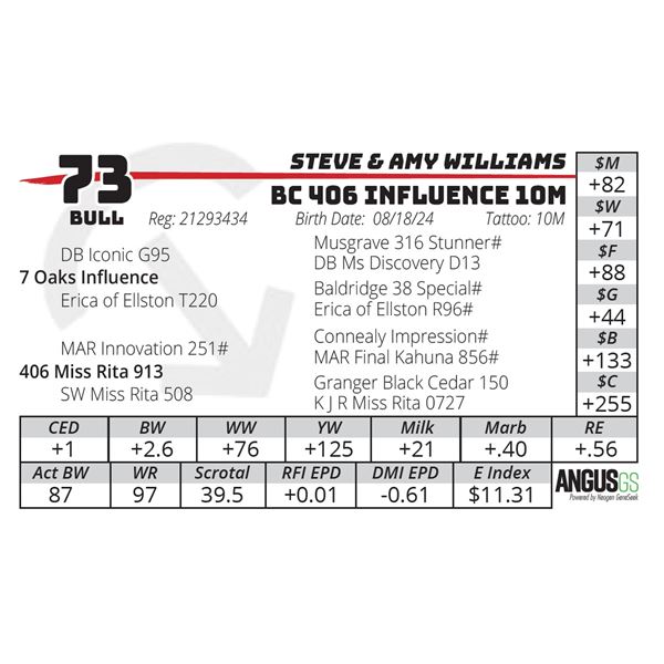 BC 406 INFLUENCE 10M