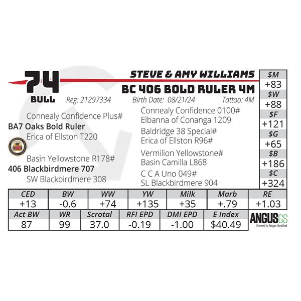 BC 406 BOLD RULER 4M