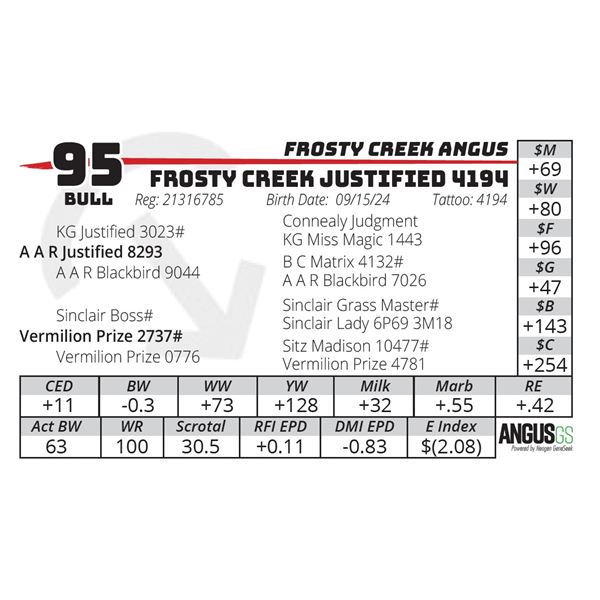 FROSTY CREEK JUSTIFIED 4194