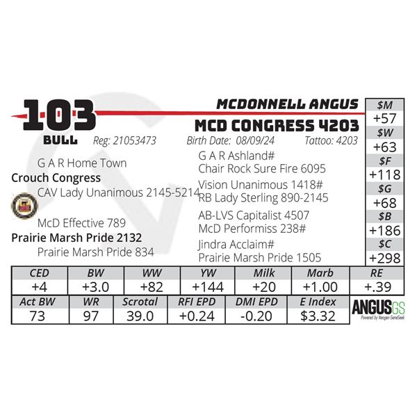 MCD CONGRESS 4203