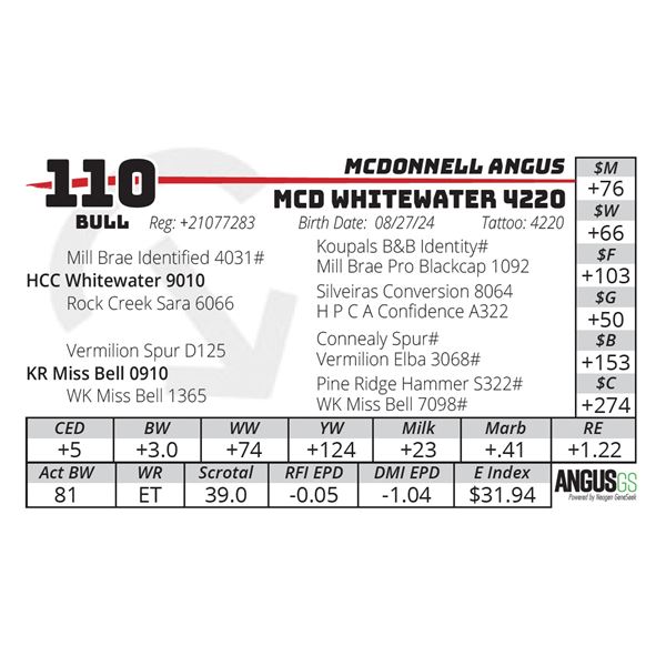 MCD WHITEWATER 4220