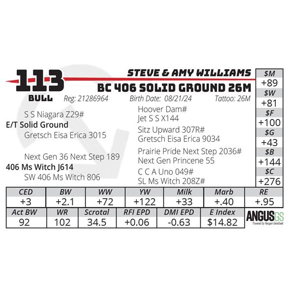 BC 406 SOLID GROUND 26M