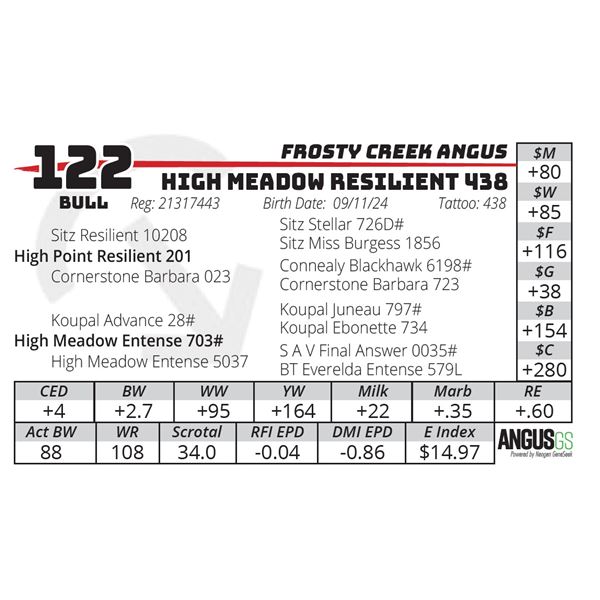 HIGH MEADOW RESILIENT 438