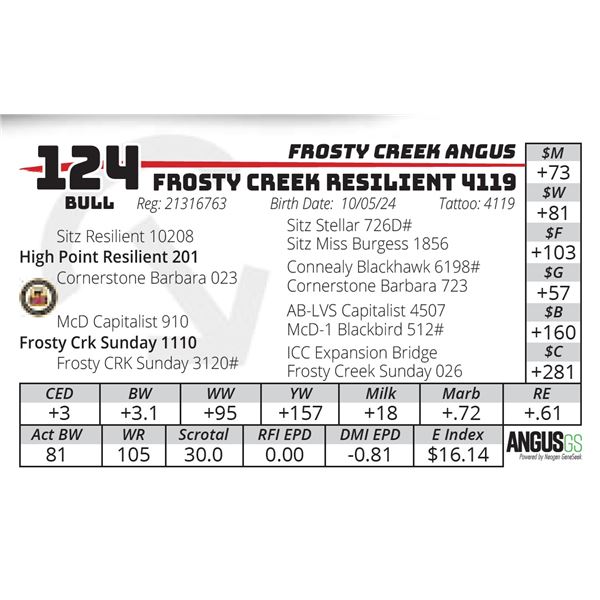 FROSTY CREEK RESILIENT 4119