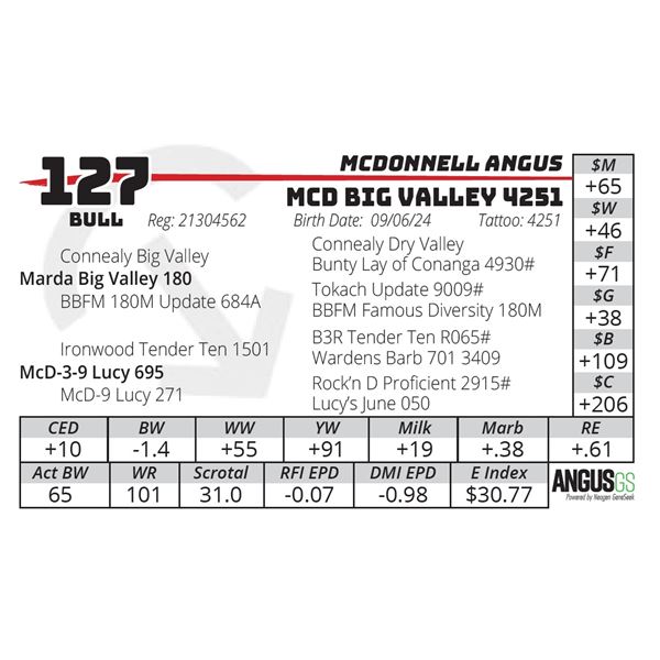 MCD BIG VALLEY 4251