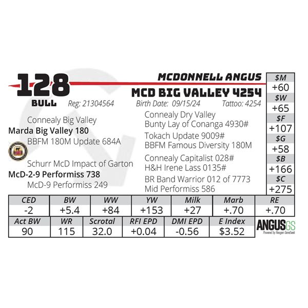 MCD BIG VALLEY 4254