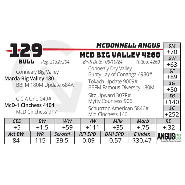 MCD BIG VALLEY 4260