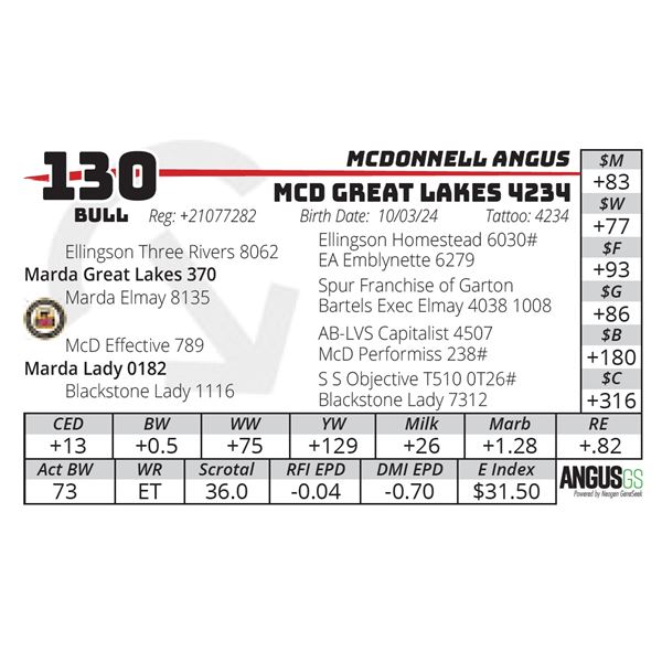 MCD GREAT LAKES 4234