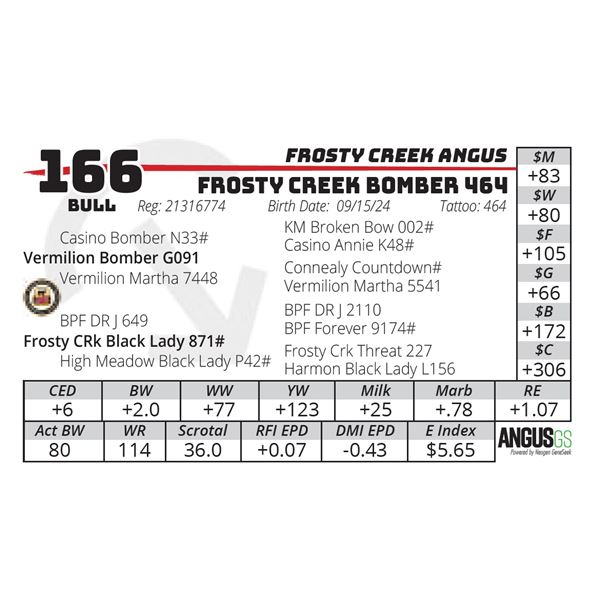 FROSTY CREEK BOMBER 464