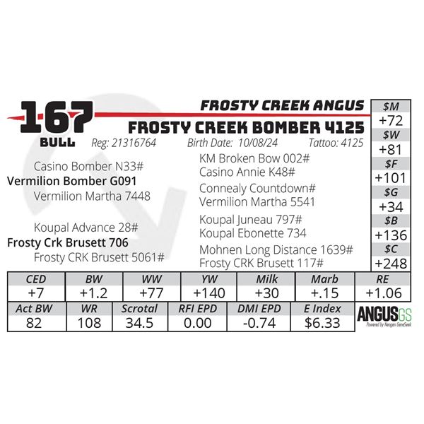 FROSTY CREEK BOMBER 4125