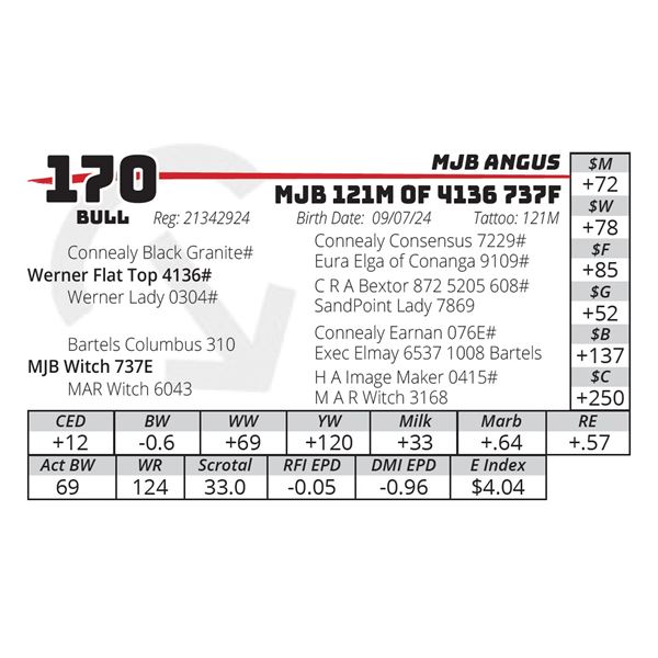 MJB 121M OF 4136 737F