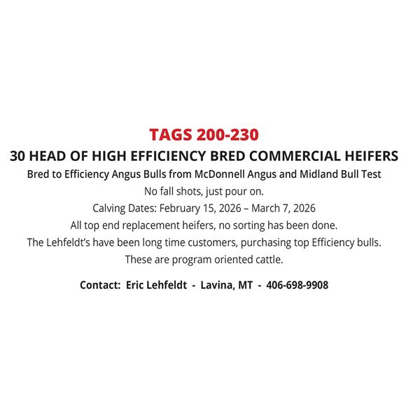 LEHFELDT RANCH BRED HEIFERS