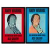 Image 1 : American Indian Series 2 Piece Set (Red & Blue) by Andy Warhol (1928-1987)