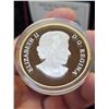 Image 4 : 2014 $20 Perched Bald Eagle. Gold-Plated. Proof with Ultra Heavy Cameo. 99.99% pure Silver. Housed i