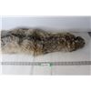 Image 1 : Lynx Pelt