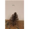 Image 1 : * Small Twig Tree - 24" Tall