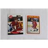 Image 3 : (5) 1990s Sergei Fedorov Hockey Cards