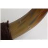 Image 4 : Horns with Animal Fur Decoration