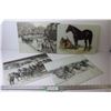 Image 1 : (4) Glass Horse Themed Cutting Boards