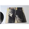 Image 5 : Rolling Stones Album - Sticky Fingers (scratched & hazed)