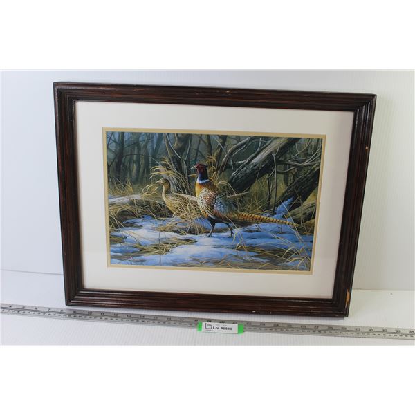 Framed Print of Pheasants (21 1/2  x 16 1/2 )