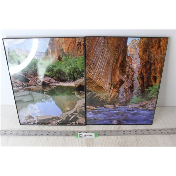 (2) Framed Nature Photographs - 14 x 11