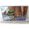 Image 1 : (2) Framed Nature Photographs - 14 x 11