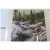 Image 4 : Framed Post Cards (20" x 16") - Print Deer Above Creek Falls (17 1/4" x 24 1/4")