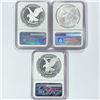 Image 2 : 2021 Set [3] A.S.E. Castle Signed NGC PF, MS